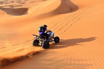 Desert Safari  photo